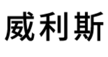 威利斯