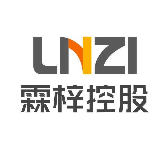 霖梓控股