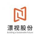 漂视网络