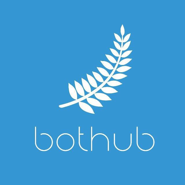 BotHub莫罕