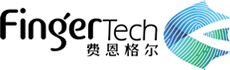 费恩格尔