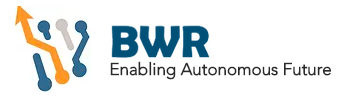 Blue White Robotics