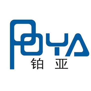 铂亚信息