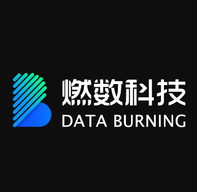 燃数科技