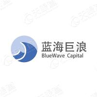 蓝海巨浪资本