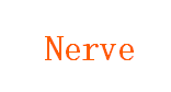 Nerve