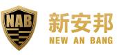 新安邦智能互联