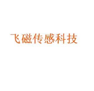 飞磁传感科技