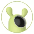 Roybi