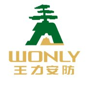 王力安防