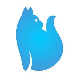 云猫科技