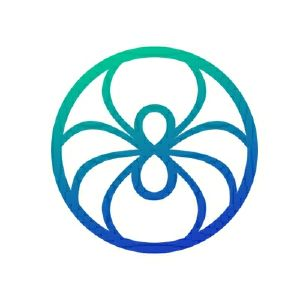 蜘蛛信息