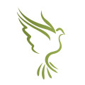 Dotterel Technologies