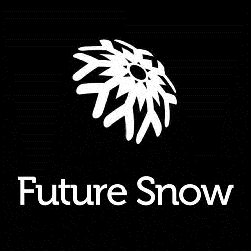 翌雪网络
