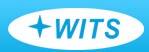 深圳源诚技术WITS