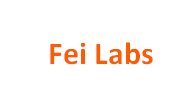 Fei Labs