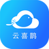 云喜鹊