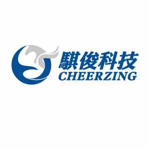骐俊股份