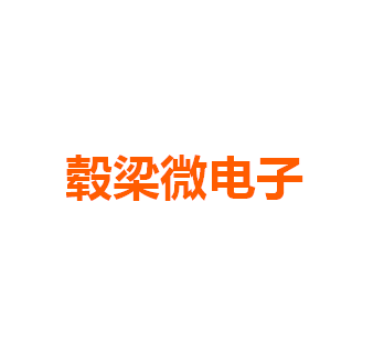 毂梁微电子