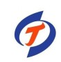 电子人