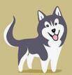 比特狗BLOCKDOG